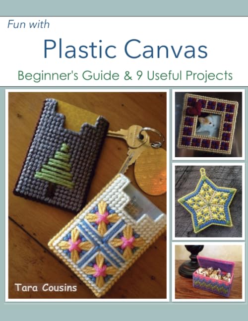Fun with Plastic Canvas Beginners Guide Useful Projects Tiger Road Cra cover
