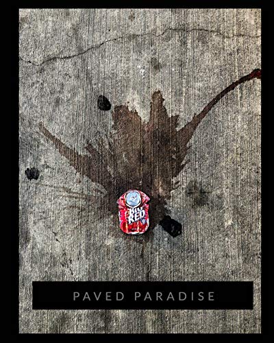 Paved Paradise cover