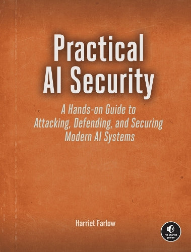 Practical AI Security