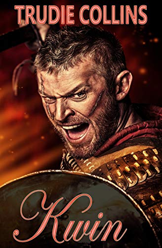Kwin cover