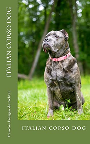 italian corso dog