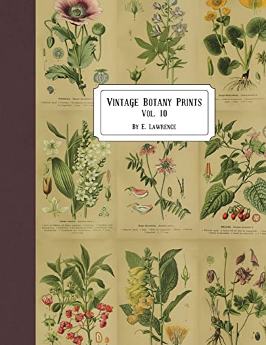 Vintage Botany Prints cover