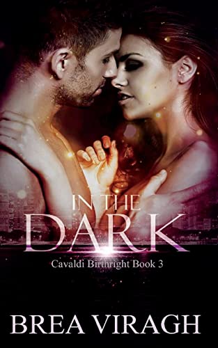 In the Dark cover