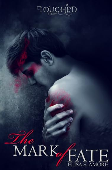 The Mark of Fate: Evan's Prequel (The Touched Saga, Book 2.5)