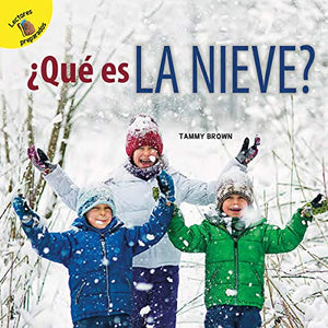 ?que Es La Nieve?