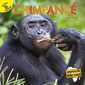 Chimpancé