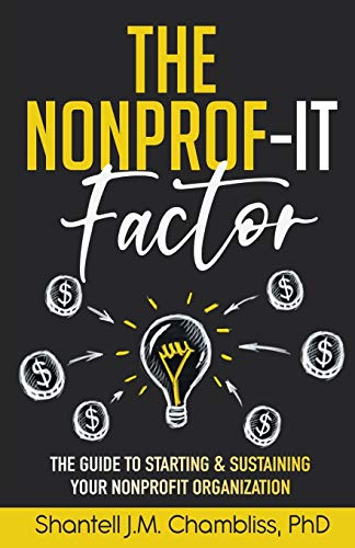 The Nonprof-IT Factor