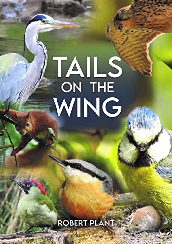 Tails on the Wing