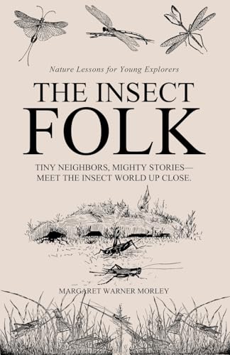 The Insect Folk