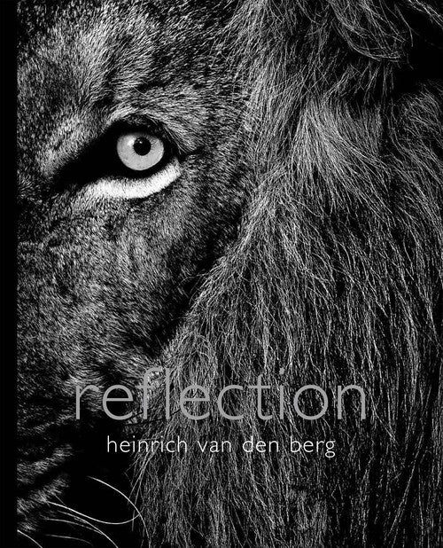 Reflection