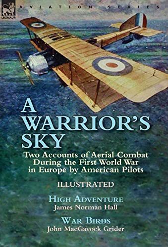A Warrior's Sky cover
