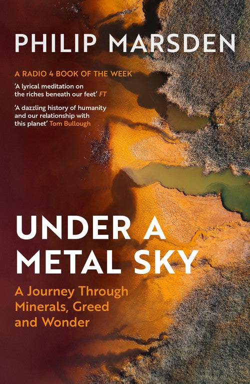 Under a Metal Sky