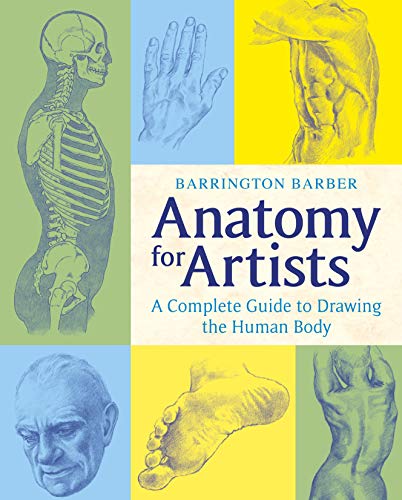 Barrington Barber Anatomy for Artists