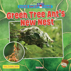 Green Tree Ant's New Nest