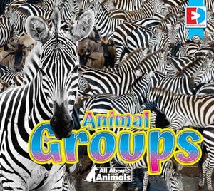 All about Animals - Animal Groups