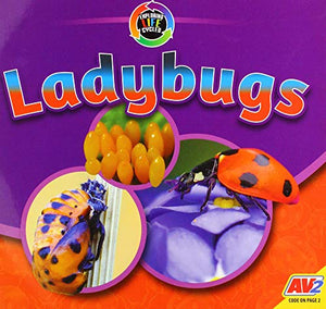 Ladybugs