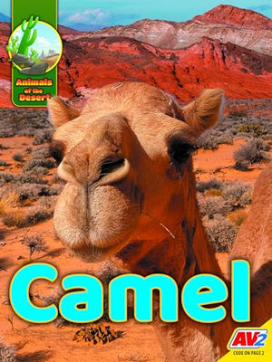 Camel