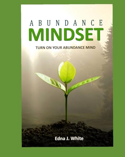 Abundance Mindset: Turn on Your Abundance Mind cover