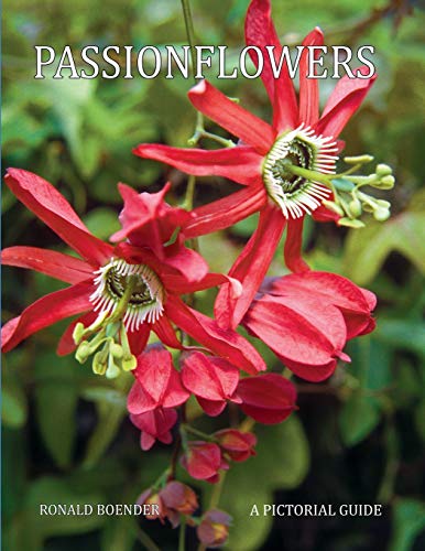 Passionflowers