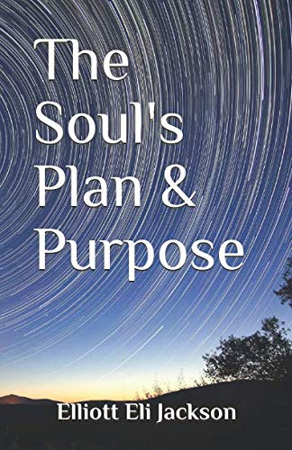 The Souls Plan Purpose cover