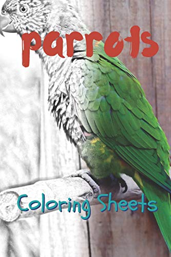 Parrot Coloring Sheets cover