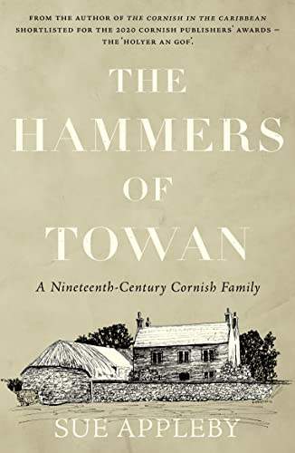 The Hammers of Towan cover
