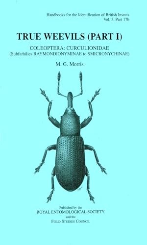 True Weevils (Part I)