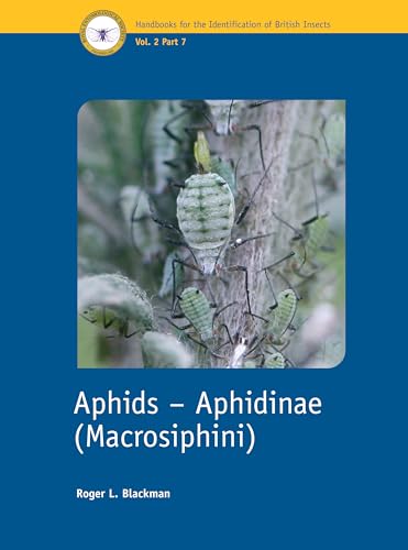 Aphids – Aphidinae (Macrosiphini)