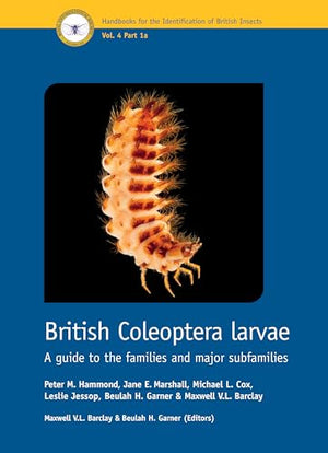 British Coleoptera Larvae
