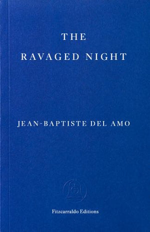 The Ravaged Night