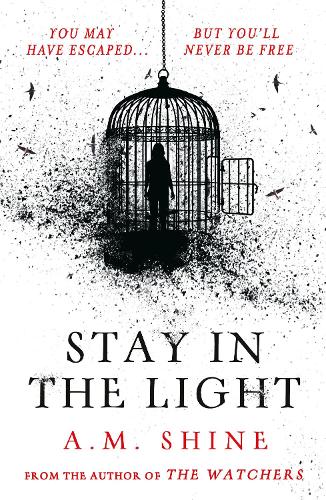 Stay in the Light