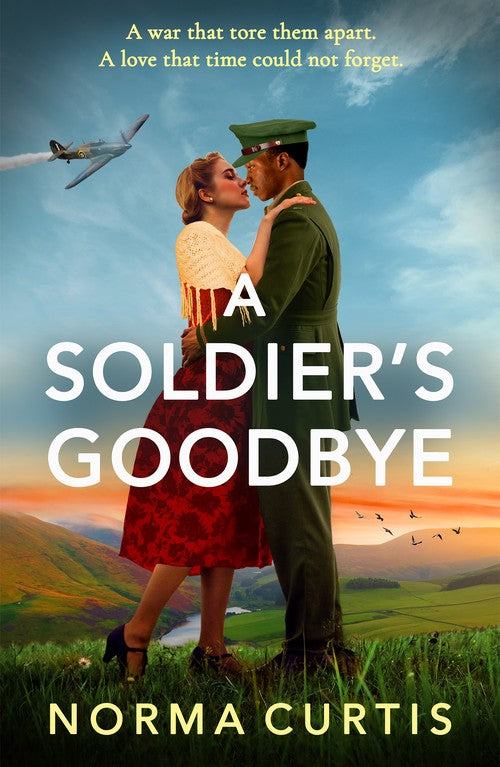 A Soldier's Goodbye