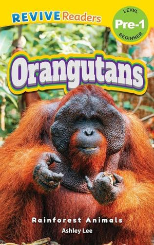 Orangutans