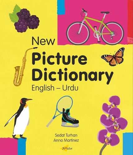 New Picture Dictionary (EnglishUrdu) cover art