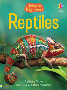 Reptiles 