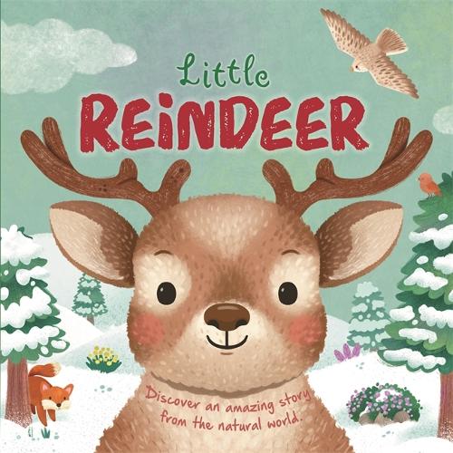 Little Reindeer