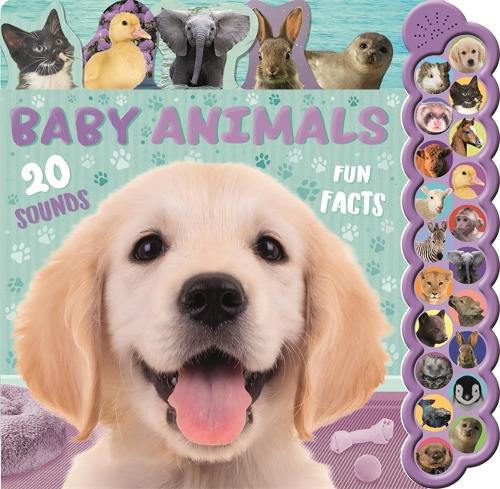 Baby Animals cover