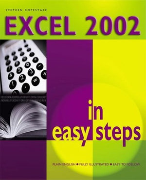 Excel 2002 in Easy Steps