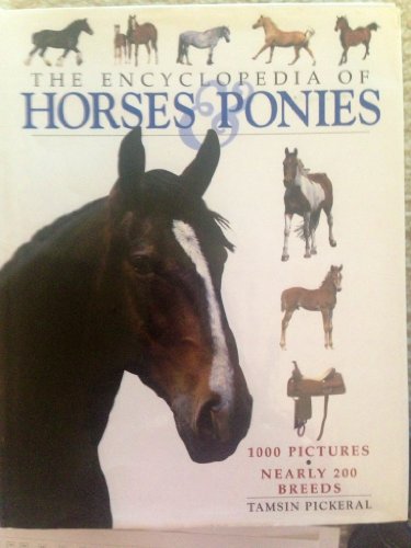 Horse Breeds