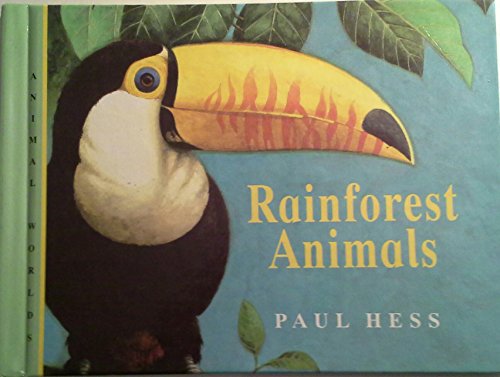 Rainforest Animals