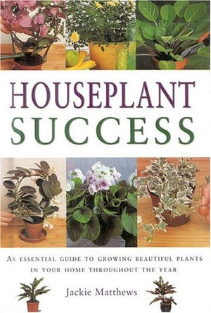 Houseplant Success