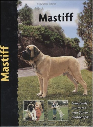 Mastiff