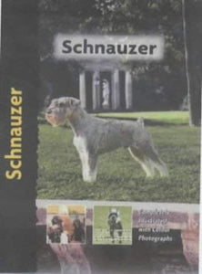 Schnauzer 