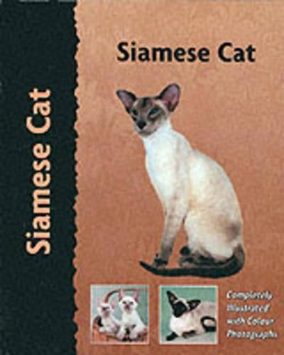 Siamese Cat