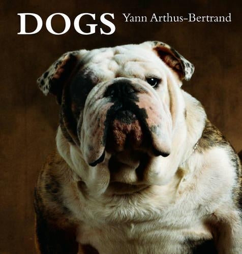 Dogs