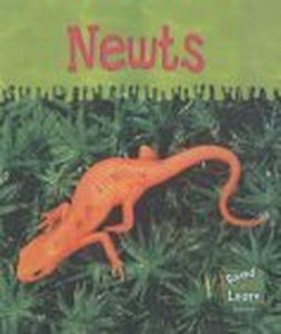Newts 