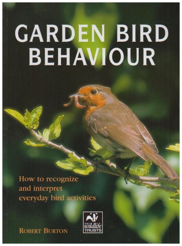 Garden Bird Behaviour