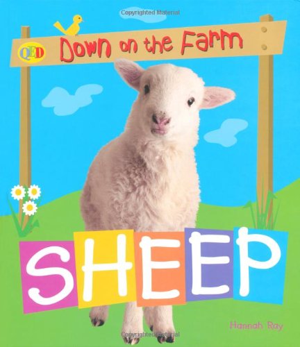 Sheep
