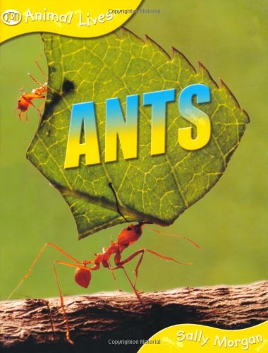 Ants
