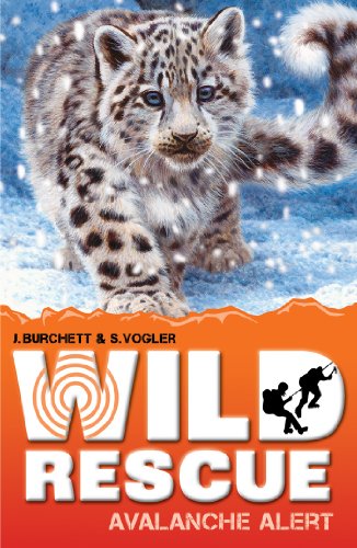 Avalanche Alert